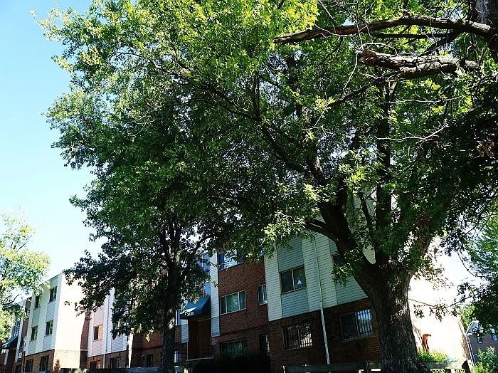 Kings Square Apartments — Photo 8