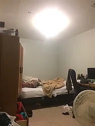 Rented by P Management