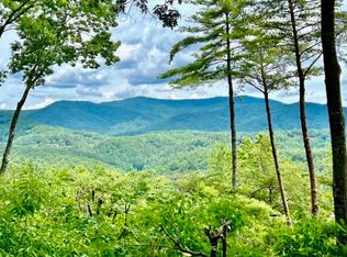 95 Rosiey Ln #3, Blue Ridge, GA 30513