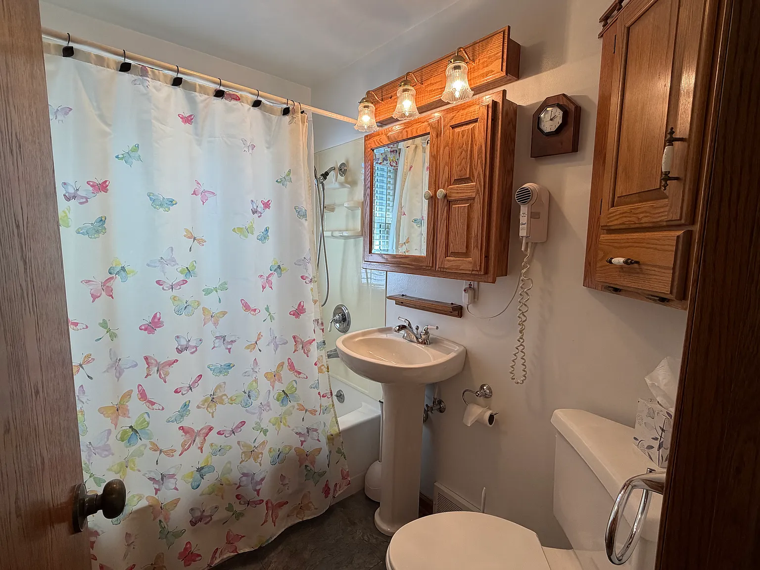 Michigan Ave Rental — Photo 3