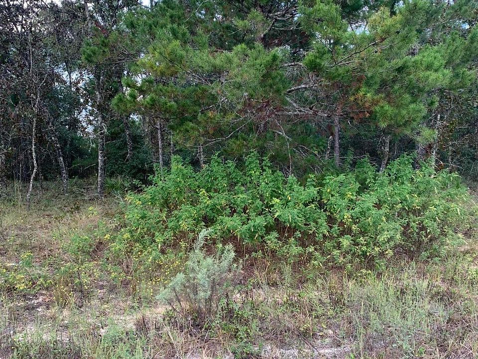 2nd image of 5768 Overlook Dr W