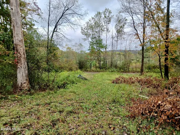 275 Frye Rd, Flinton, PA 16640