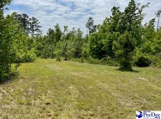 3019 Hickory Grove Rd, Wallace, SC 29596