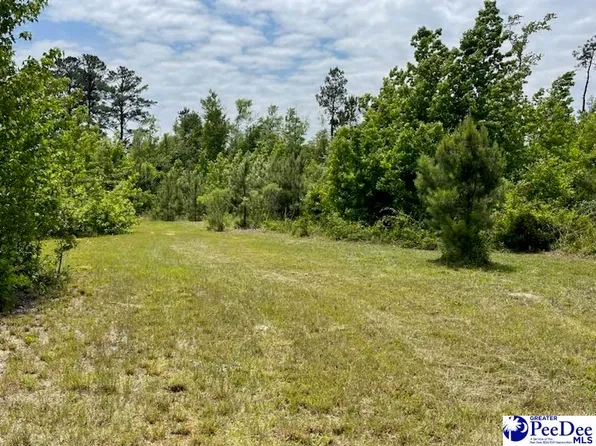 3019 Hickory Grove Rd, Wallace, SC 29596