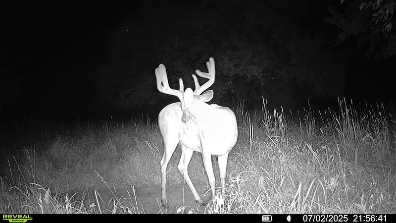 1st image of Range Rd Lot Wp001