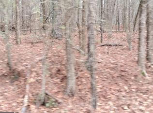 8014 Norris Lake Rd, Snellville, GA 30039