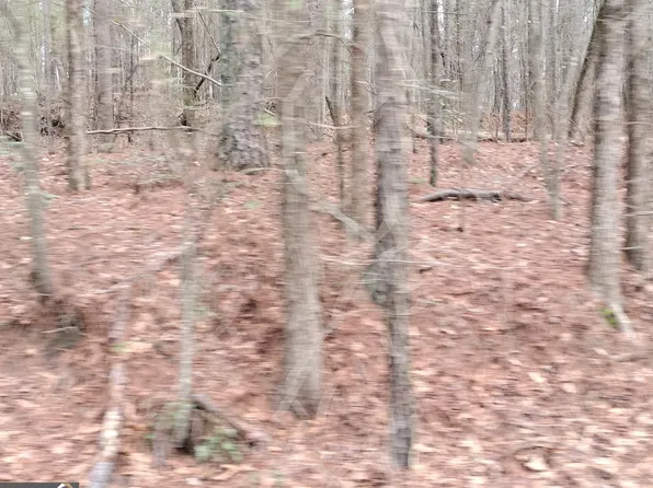 8014 Norris Lake Rd, Snellville, GA 30039