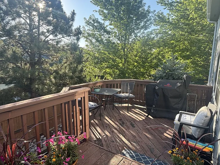 White Ash Ct — Photo 10