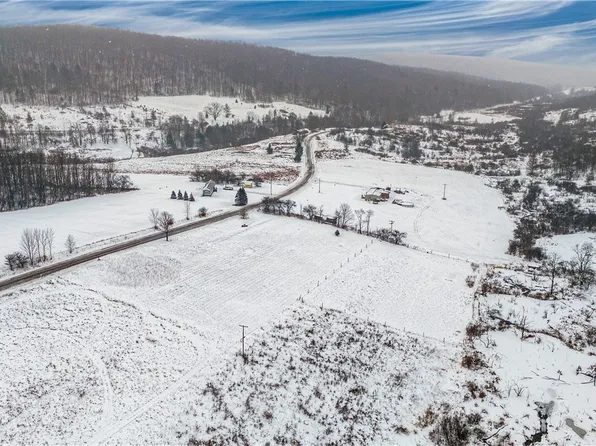 LOT 2 Pease Hill Rd #2, Truxton, NY 13158