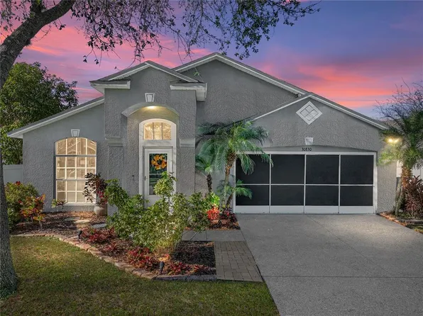 30830 Birdhouse Dr, Wesley Chapel, FL 33545