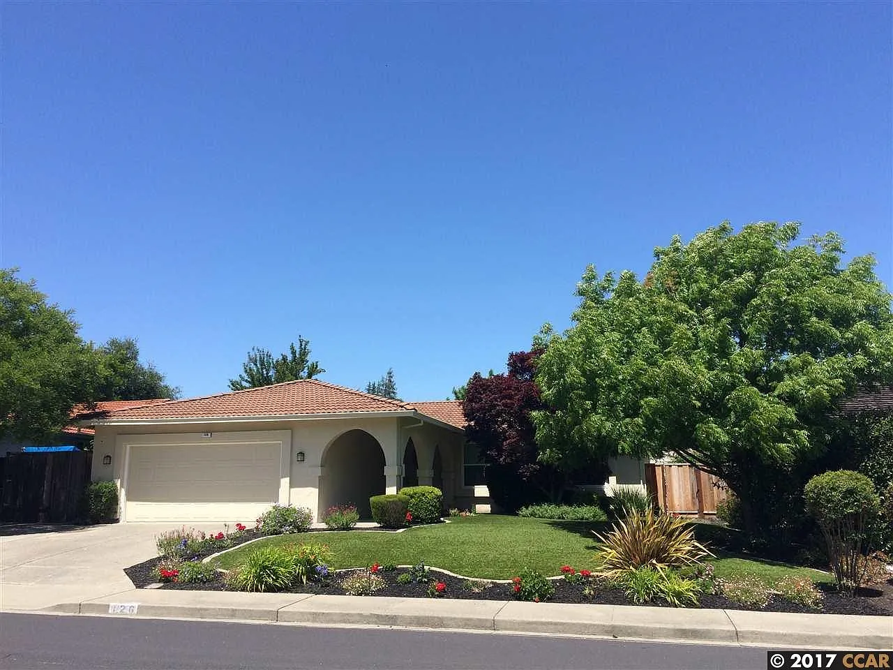 126 Avocado Ct photo 1