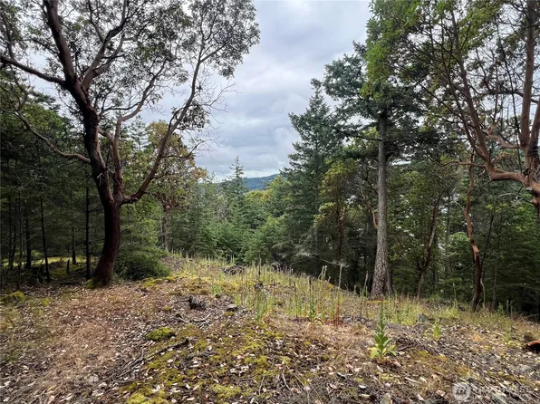 0 XXX Palisades Drive, Orcas Island, WA 98245