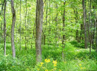 0 Consaul Rd, Galway, NY 12074