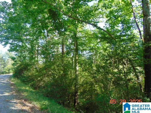 LOT 1 County Road 182, Clanton, AL 35046