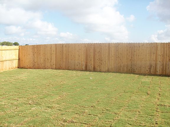 Fenced back yard