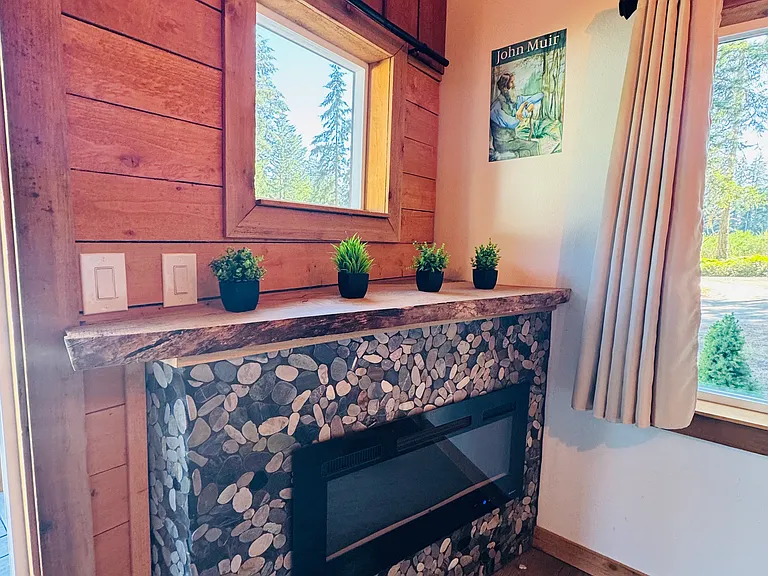 Electric Fireplace