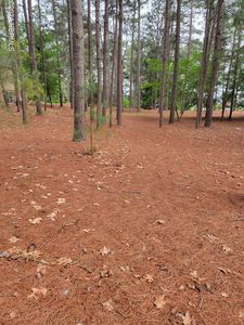 104 Harrell Road, West End, NC, 27376