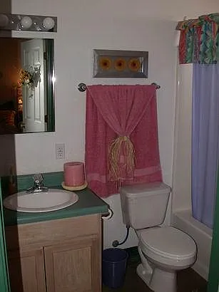 930 E Adelaide Dr #1 — Photo 8