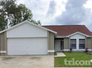 2025 Helm Ln, Valrico, FL 33594