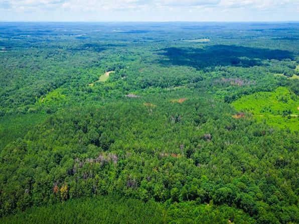 0 Sweetwater Rd, Daviston, AL 36256