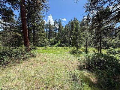 21 Pine Grove St, Republic, WA, 99166