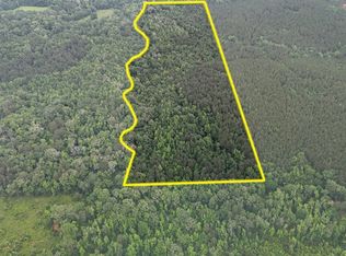 Davidson Rd LOT WP001, Arcadia, LA 71001