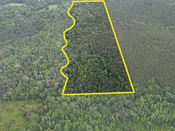 Davidson Rd Lot Wp001, Arcadia, LA 71001
