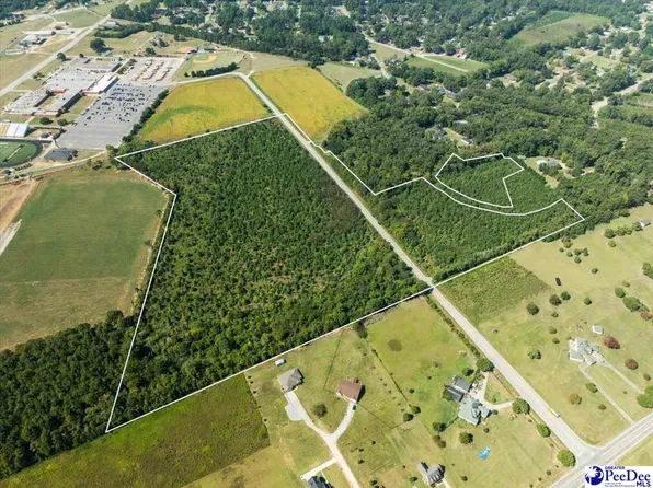 Bull Dog Rd, Bennettsville, SC 29512