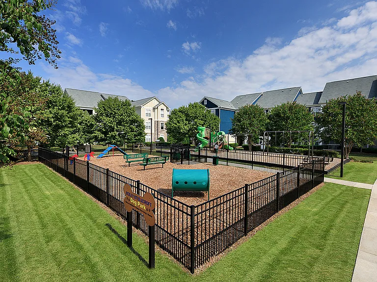 Dog Park