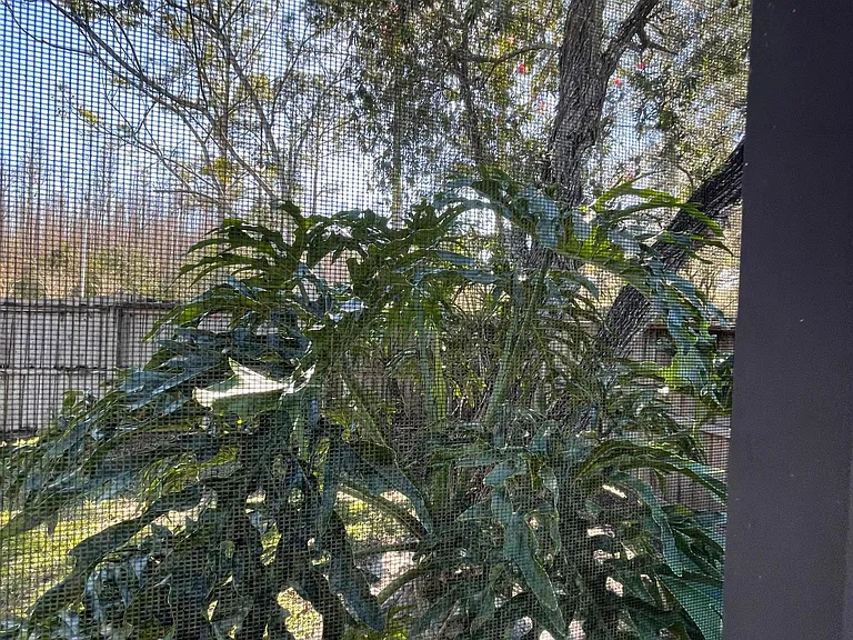 9303 Rockrose Dr — Photo 70