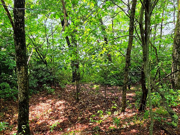 3rd image of Lot 2 Eagle Ridge Road