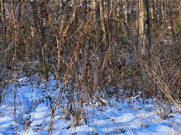 Sec 23 7 3e N10a Northwest NE, Saint Elmo, IL 62458