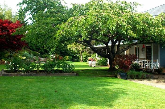 Masterfully Lanscaped