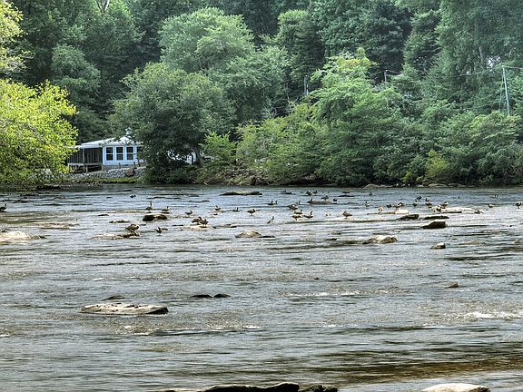 5th image of 53 Addle Trl