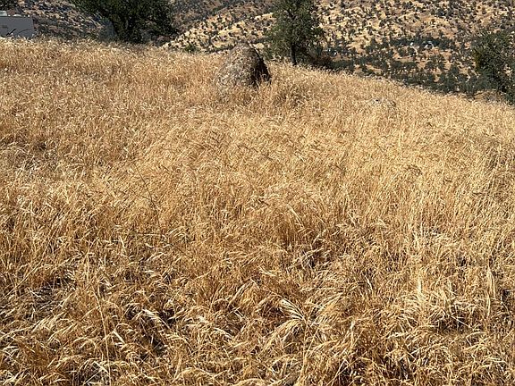 2nd image of 0 Comanche Point Rd Lot 3