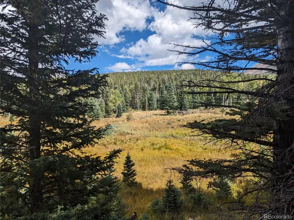 3091 Sterenson Place, Fort Garland, CO 81133