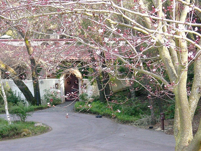2nd image of 7129 San Gregorio Rd