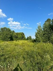  BON STREET, Cecil, WI, 54111