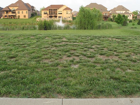 Waterfront Lot 294 at street