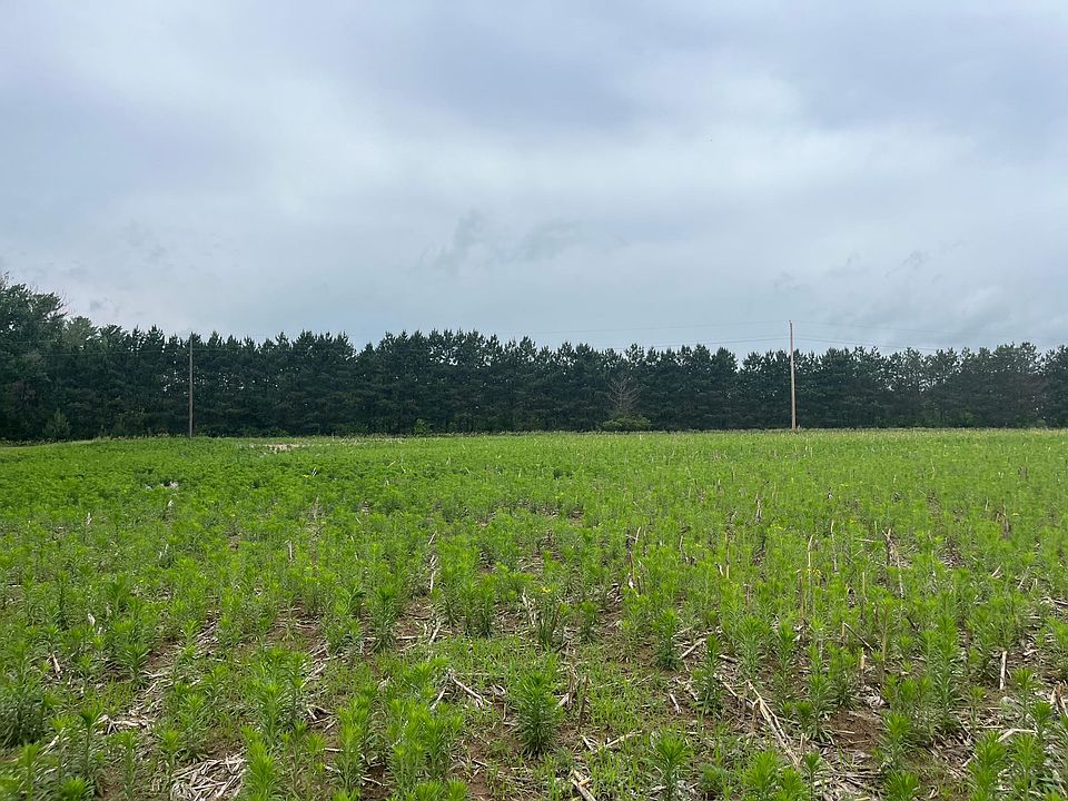 1st image of LOT 4 Hemingway Ave
