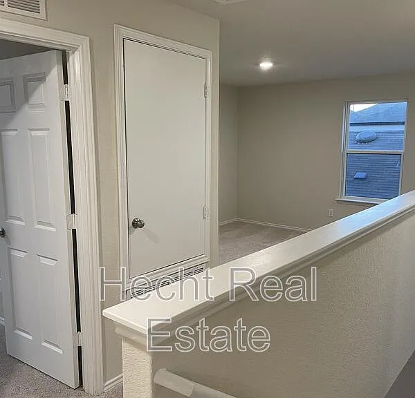 451 Forsythia — Photo 24
