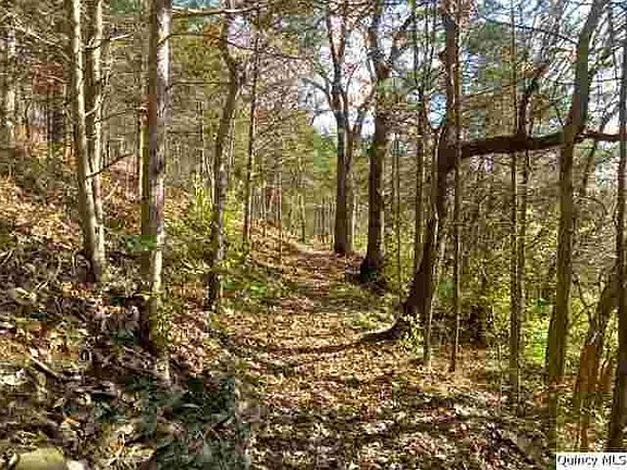 Home for Sale in Quincy, IL $35,000