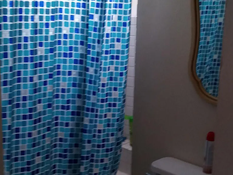 Shared full bath, there is a nice sized shelf for cleaning items in the shower stall.