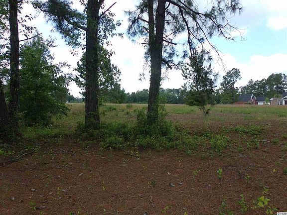 3rd image of 1229 Woodstork Dr. Lot 28