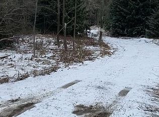 8807 Phillips Rd, Holland, NY 14080