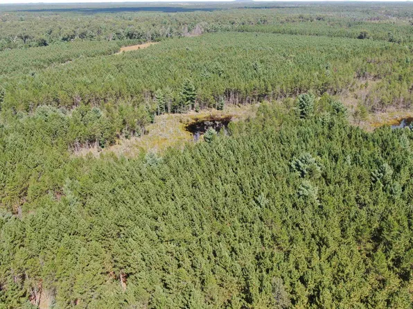 Browndeer Dr, Arkdale, WI 54613