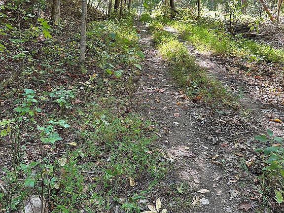 4th image of LOT 412 Smith Rd