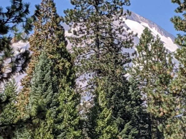 21 Ridge Dr, McCloud, CA 96057