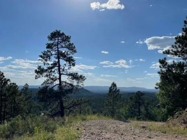 Ticonderoga Dr, Chama, NM 87520