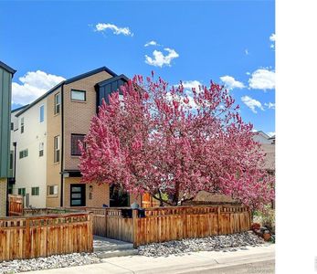 1324 Zenobia St, Denver, CO, 80204